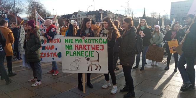 Wielki protest w Krakowie. Strajkowali w obronie klimatu 