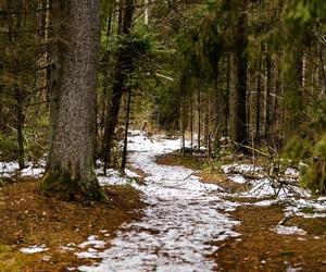 Wigierski Park Narodowy. To bezcenny obszar podlaskiej natury