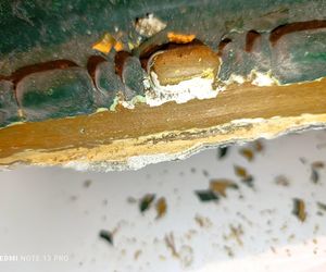 Renowacja kamienicy przy ul. Cybulskiego 19, Wrocław