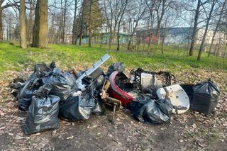 Posprzątali iławski las... dla kotów!