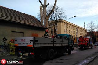 Połamane drzewo na ulicy Racławickiej