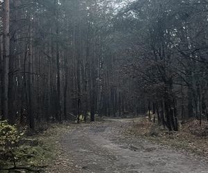 Płakał nad tym psem. Damian zastawiał pułapki na leśną zwierzynę. Kundelek umierał w męczarniach