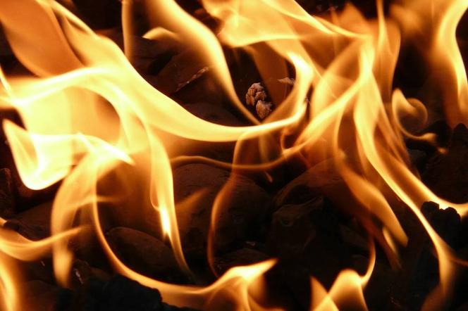Tragiczny pożar w Myszkowie. Dwóch mężczyzn spłonęło w domku letniskowym