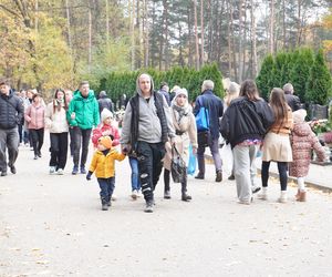 Tłumy na cmentarzu na Miłostowie