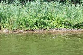 Szlak Wielkich Jezior Mazurskich do modernizacji. Jakie prace zostaną wykonane?