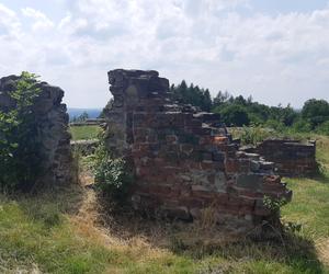 Ruiny średniowiecznego zamku w Tarnowie, na którym w 1528 roku rezydował król Węgier Jan Zápolya 