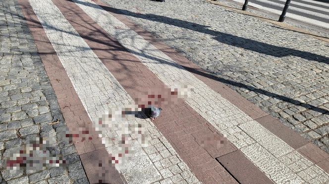Atak nożownika pod kebabem w Warszawie