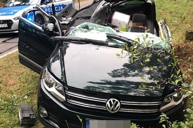 Drzewo spadło na volkswagena. Turysta z Krakowa utknął w aucie