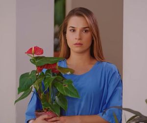 Miłość i nadzieja odc. 272. Sila