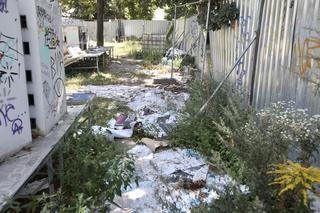 Mieszkańcy Warszawy o zdemolowanym Parku Miniatur w centrum: Sprzątnijcie ten syf! 