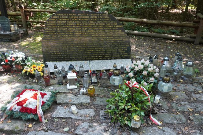 Las Kabacki w Warszawie