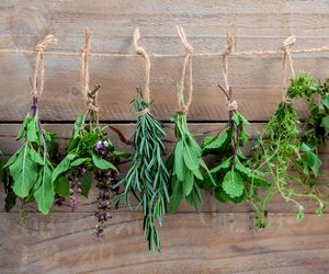 Antynowotworowe właściwości ziół