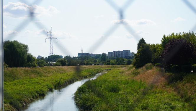 Bystrzyca oddziela dwie dzielnice: Rury i Za Cukrownią. Jak prezentuje się ta część Lublina w letniej odsłonie? ZOBACZ ZDJĘCIA