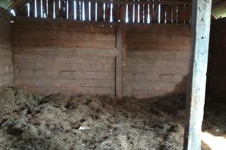 Rolnik bestialsko zadźgał żonę. Dorota zginęła, bo... obudziła męża z drzemki na sianie!