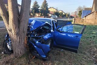 Noworoczny horror pod Garwolinem. 55-latek roztrzaskał hybrydę na drzewie