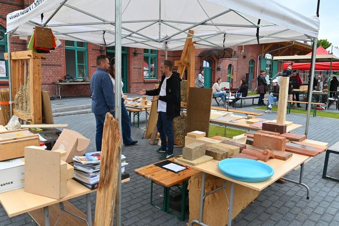 Ruiny domów i gospodarstw z czasem, bardzo powoli odzyskują dawny wygląd - ruinersi są wytrwali