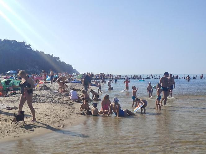 Plaża w Dębkach wrzesień 2023