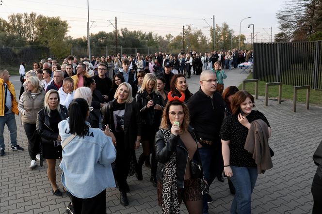 Koncert Roztańczony PGE Narodowy 2025. Na scenie gwiazdy: popu, rapu i disco polo [ZDJĘCIA]