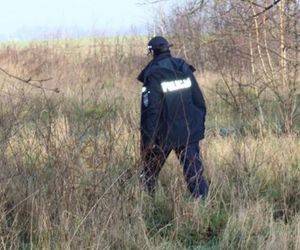 Lubelskie: W lesie znaleziono zwłoki kobiety. Najprawdopodobniej zmarła z wychłodzenia 