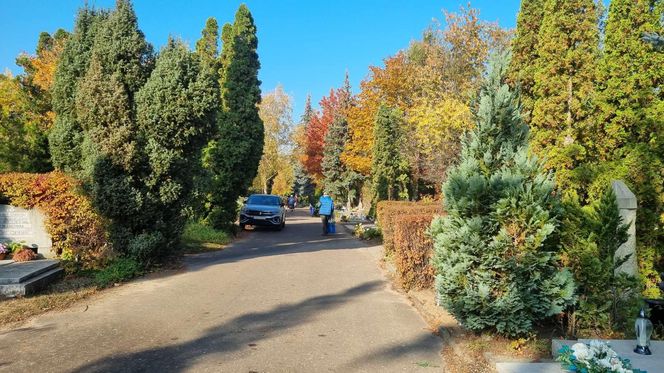 Korki i pełne parkingi. Tak wygląda sobota przed cmentarzem na Junikowie