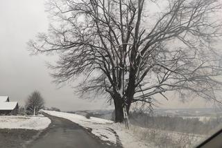 Zima na Podkarpaciu zaatakowała w kwietniu  [GALERIA]