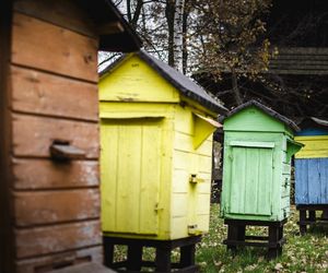 Skansen w Pszczynie obchodzi 50-lecie istnienia