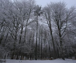 Ferie zimowe nie tylko w górach. Te kierunki także zachwycą zimowymi atrakcjami