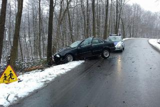 Powiat ropczycki: Pijany kierowca BMW uderzył w drzewo [ZDJĘCIA]