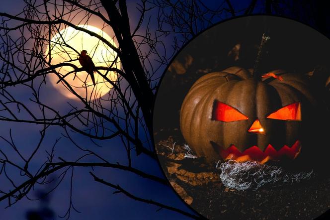 Noc jak z horroru jeszcze przed Halloween. Problemy ze snem to dopiero początek