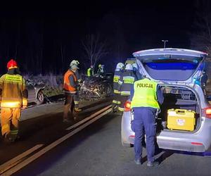 Wypadek na DK 43 między Krzepicami a Opatowem