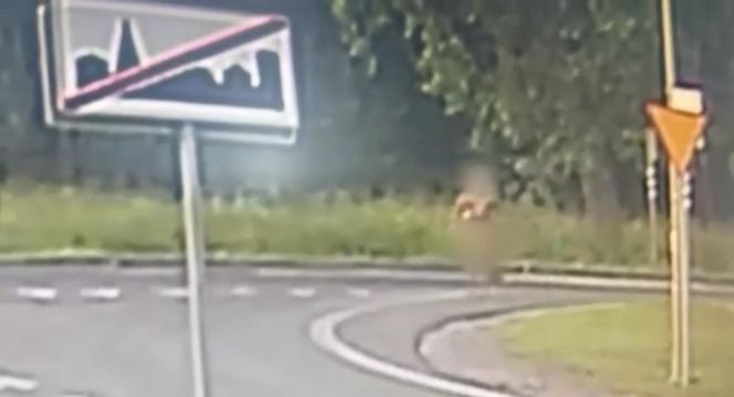 Lubin. Etiopczycy bez ubrań biegali po ulicach miasta