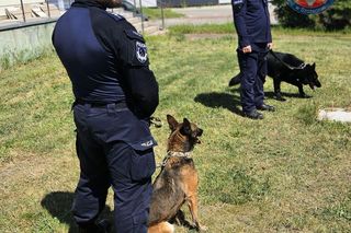 Trafika odnalazła 16-latka