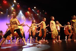 Kraków: Lew - Król Sawanny rzucił widzów na kolana