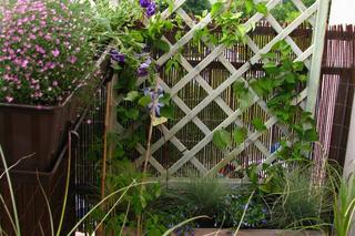 Mały balkon w bloku: PRZED i PO metamorfozie!