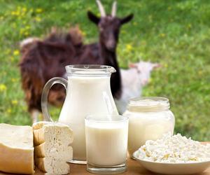 Mleko kozie - dlaczego warto je pić?