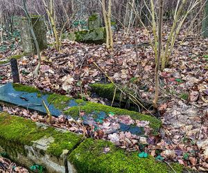 Tak wygląda XIX-wieczny cmentarz ewangelicki w Bynowie