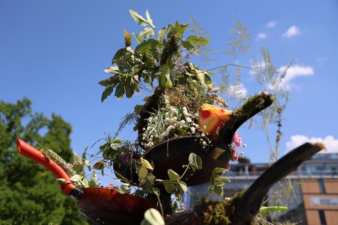 Weekend z florystyką w Lublinie. Zobacz imponujące roślinne instalacje w centrum miasta!