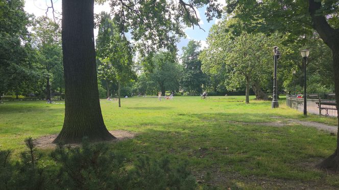 Spacer przez muzyczne serce Bydgoszczy. Park Kochanowskiego zachwyca historią i klimatem