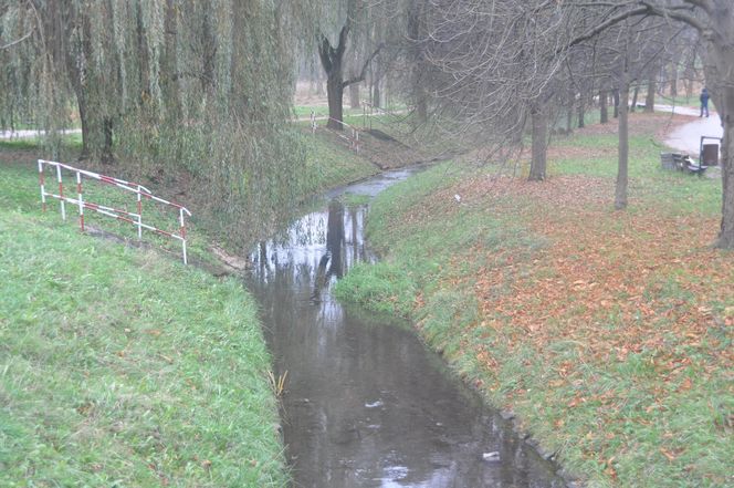 Dolina Silnicy i Zalew Kielecki jesienią