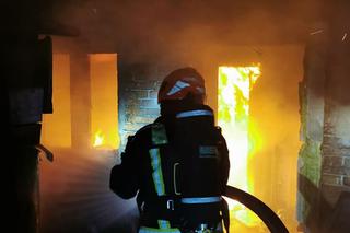 Pożar pustostanu przy ul. Batorego w Toruniu. Zdjęcia z akcji strażaków