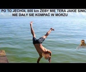 Najlepsze memy o wakacjach nad polskim morzem