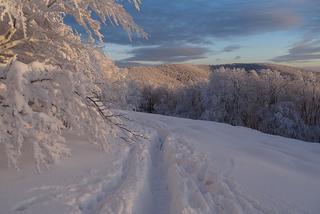 BIESZCZADY: Mróz i trudne warunki na szlakach. Bądźcie uważni ! [AUDIO]