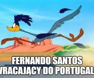 Fernando Santos Memy