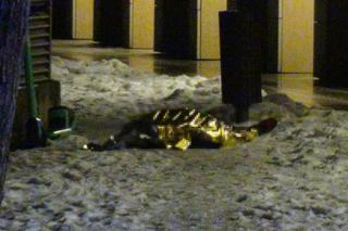 Przeraźliwa śmierć na warszawskiej Woli. Nieżywy mężczyzna leżał w zaspie śnieżnej!