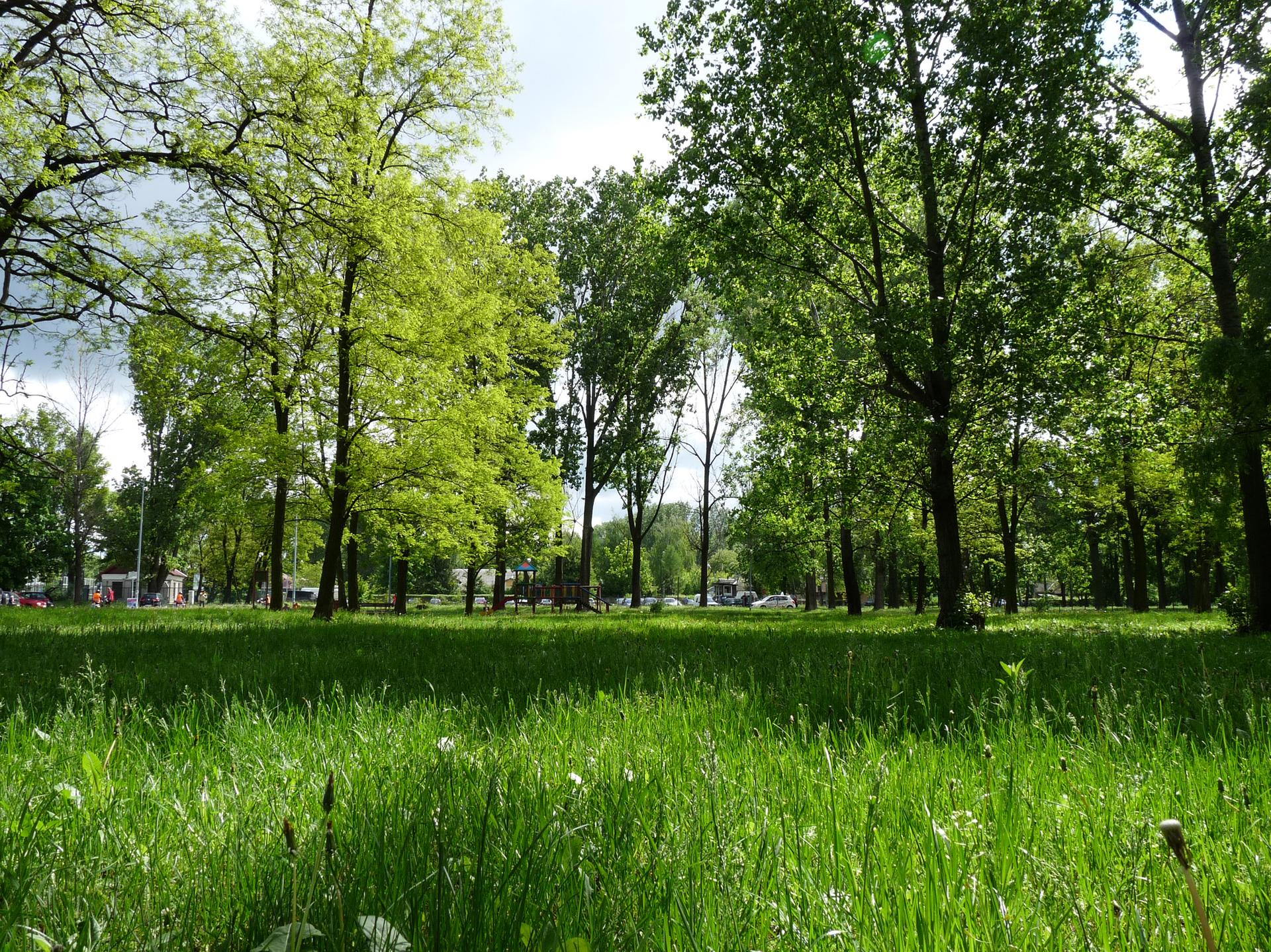 Skwer Bemowo 2011 - fot. Monika Morawiak