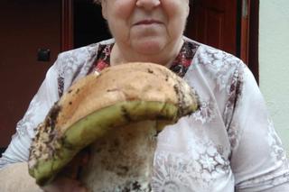 Ogólnopolski zlot grzybiarzy w Przysusze