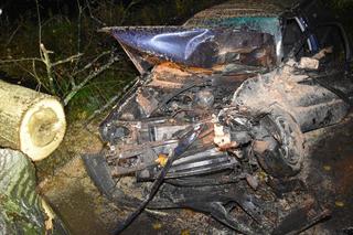 Drzewo spadło na jadący pojazd 