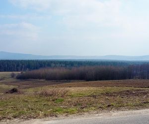 Klonów - urokliwa wieś w sercu Puszczy Świętokrzyskiej