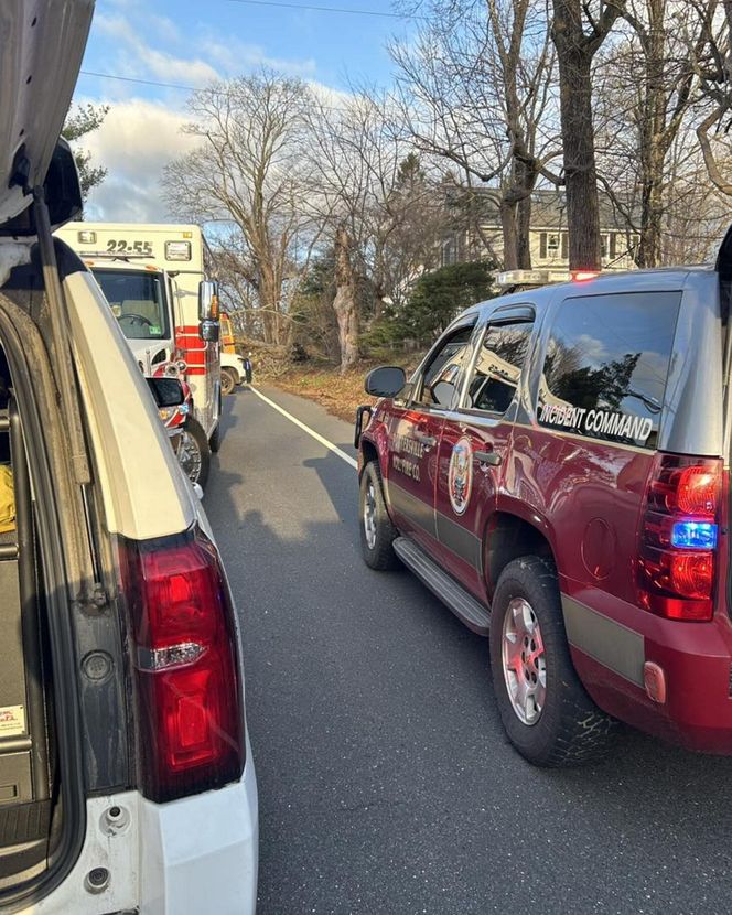 Drzewo runęło na szkolny autobus w New Jersey