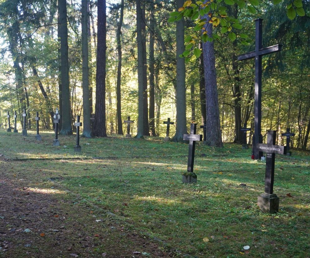 Zapomniany cmentarz wojskowy położony w środku lasu. Pochowano tam około 800 niemieckich żołnierzy [ZDJĘCIA]